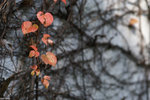 PICT6660_2