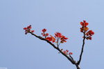 PICT6786_2