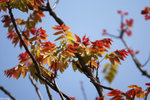 PICT6787_2
