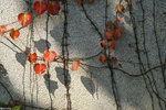 PICT6808_2