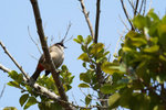 PICT6838_2