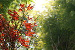 PICT6840_2
