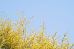 PICT6846_2