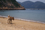 PICT_D2943