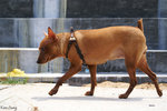 PICT_D2946