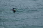 PICT_D2967