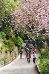 PICT8013_2