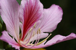 PICT8028_2