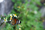 PICT5841_2