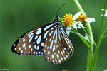 PICT5842_2