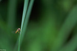 PICT5923_2