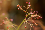 PICT5953_2