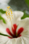 PICT5979_2
