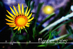 PICT_D2471_2