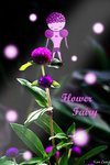 PICT_D4186