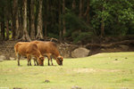 PICT8590_2