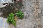 PICT5540