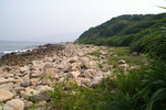 PICT5595