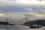 PICT_D1619