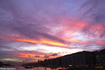 PICT_D1629