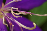 PICT_D2776