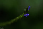 PICT_D2784