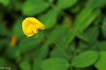 PICT_D2787