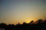 IMG_0031