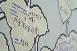 PICT_D2168