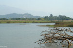 PICT_D2169