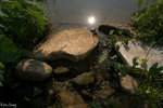 PICT_D2183