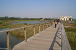 PICT_D2185