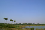 PICT_D2186