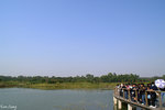 PICT_D2192