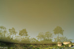 PICT_D2195