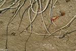 PICT_D2203