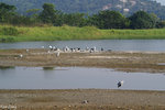 PICT_D2205