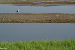 PICT_D2206