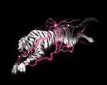 whitetiger