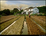 Farmland & Hosue