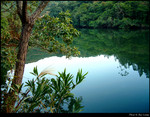 The Calm Lake 1