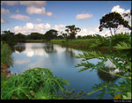 Color of Nature