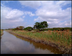 Inside the Field