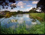 House & Lake