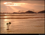 5 Golden Sunset n