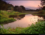 Grassland in Sunet 2