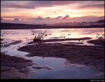 Shore at Sunet 7