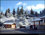 Typical Hill Scene