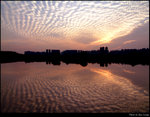 Fish Skin Cloud