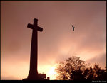 Lighting from the Cross